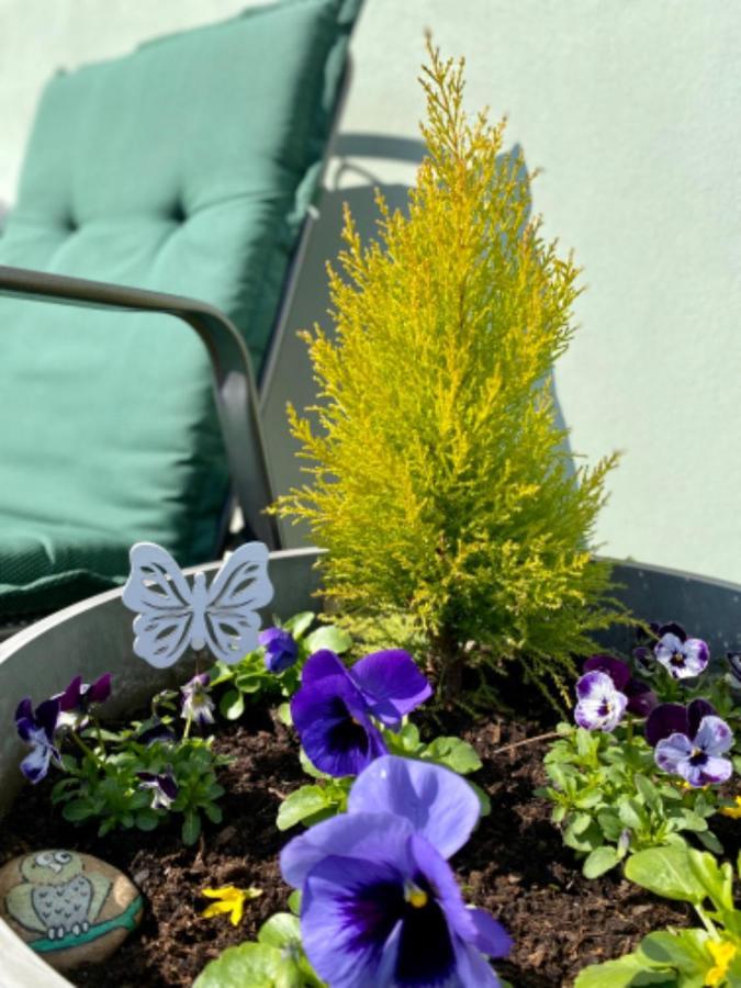 Apartmany U Rybnicka Pribraz ภายนอก รูปภาพ